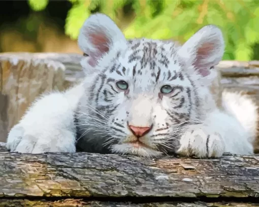 Baby Albino Tiger Diamond Painting