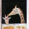 Baby and Mom Giraffe Diamond Painting