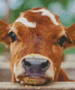 Baby Brown and White Cow Diamond Painting