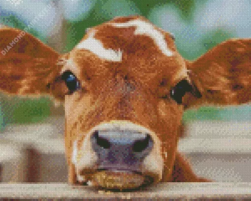 Baby Brown and White Cow Diamond Painting