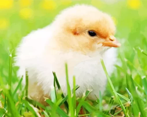 Baby Chick Diamond Painting