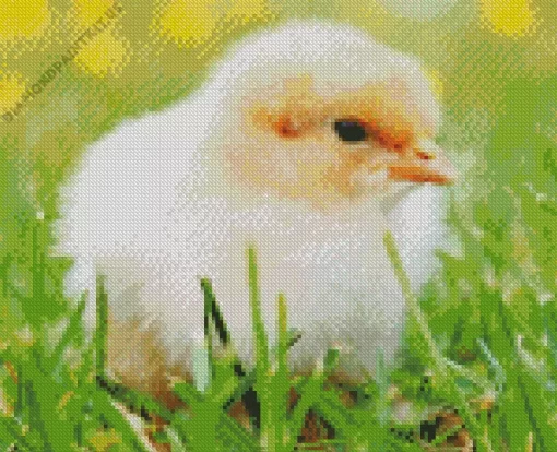 Baby Chick Diamond Painting