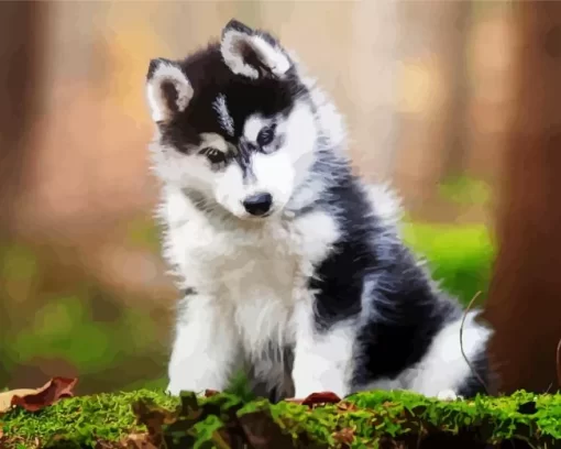 Baby Husky Diamond Painting