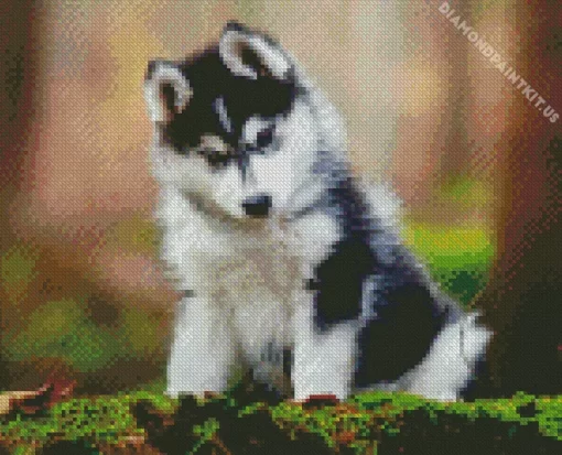 Baby Husky Diamond Painting