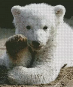 Baby Knut Polar Bear Diamond Painting