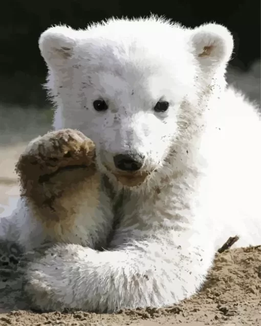 Baby Knut Polar Bear Diamond Painting