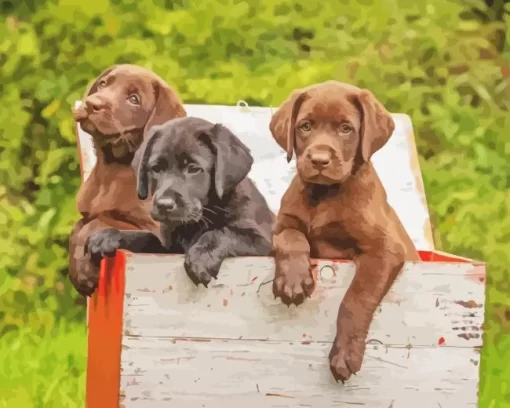 Black vs Chocolate Lab Puppies Diamond Painting