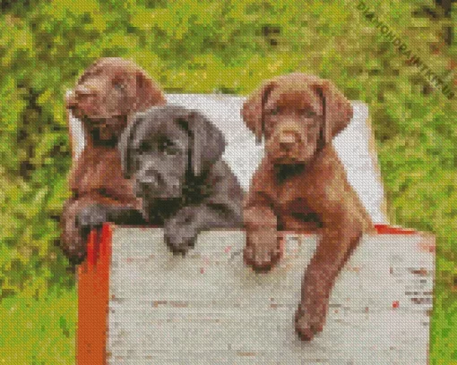 Black vs Chocolate Lab Puppies Diamond Painting