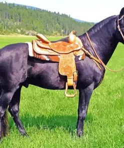 Black Western Horse In A Field Diamond Painting