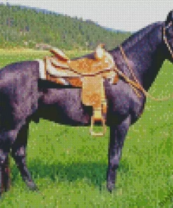 Black Western Horse In A Field Diamond Painting