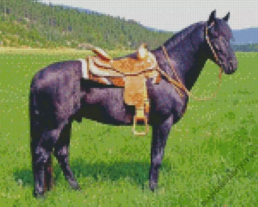 Black Western Horse In A Field Diamond Painting