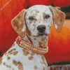 Blond Dalmatian Dog Diamond Painting