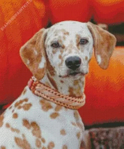 Blond Dalmatian Dog Diamond Painting