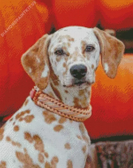 Blond Dalmatian Dog Diamond Painting