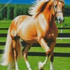 Blond Hair Horse Diamond Painting