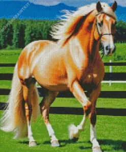 Blond Hair Horse Diamond Painting