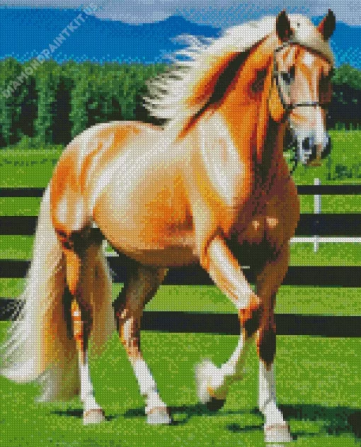 Blond Hair Horse Diamond Painting