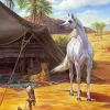 Blonde Arabian Horse In Desert Diamond Painting