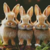 Blonde Bunnies Diamond Painting