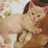 Blonde Kitten Diamond Painting