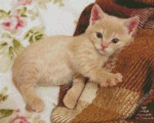 Blonde Kitten Diamond Painting