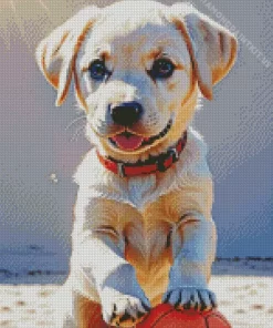 Blonde Labrador And Basket Ball Diamond Painting