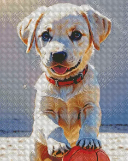 Blonde Labrador And Basket Ball Diamond Painting