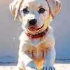 Blonde Labrador And Basket Ball Diamond Painting