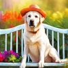 Blonde Labrador On A Bench Diamond Painting