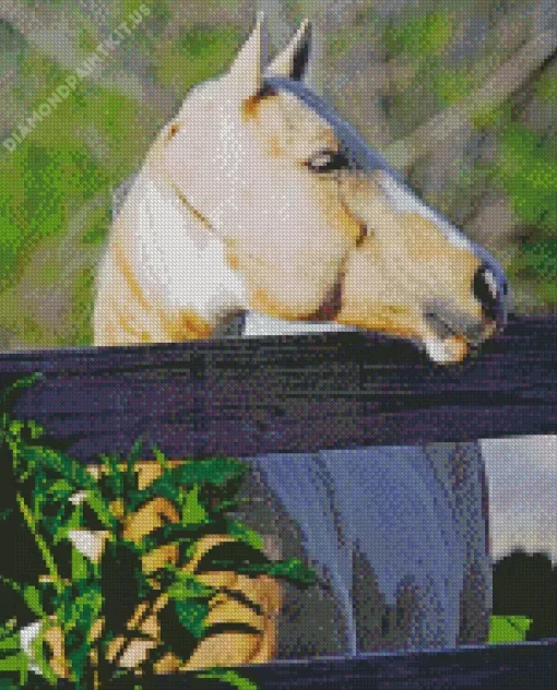 Blonde Stallion Diamond Painting