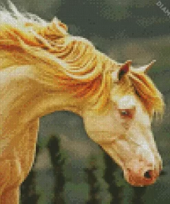 Blonde Stallion Horse Diamond Painting