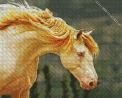 Blonde Stallion Horse Diamond Painting