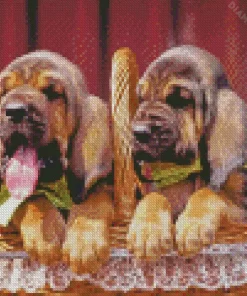 Bloodhound Puppies Diamond Painting