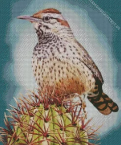 Cactus Wren Diamond Painting