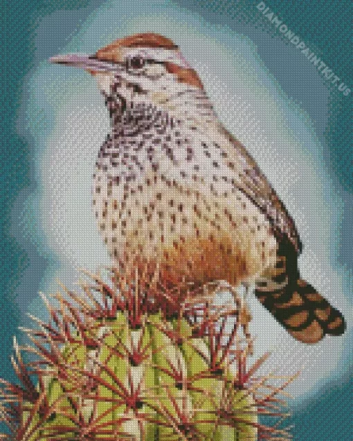 Cactus Wren Diamond Painting