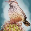 Cactus Wren Diamond Painting