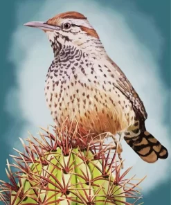 Cactus Wren Diamond Painting