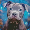 Cute Grey Staffy With Blue Eyes Diamond Painting