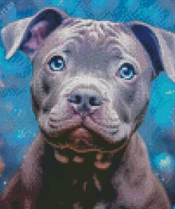 Cute Grey Staffy With Blue Eyes Diamond Painting