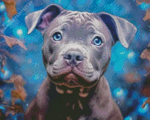 Cute Grey Staffy With Blue Eyes Diamond Painting