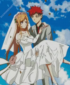 Erina And Soma Wedding Diamond Painting