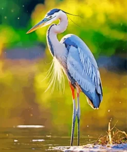 Everglades Blue Heron Diamond Painting