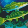 Green Yellow Fish Diamond Painting