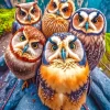 Group Of Owls Diamond Painting