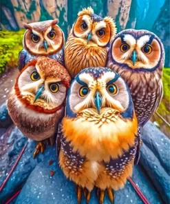 Group Of Owls Diamond Painting