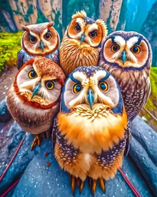 Group Of Owls Diamond Painting