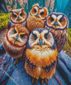 Group Of Owls Diamond Painting