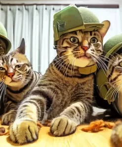 Group Of Soldier Cats Selfie Diamond Painting