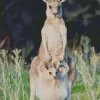 Kangaroo In A Pouch Diamond Painting