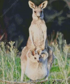 Kangaroo In A Pouch Diamond Painting